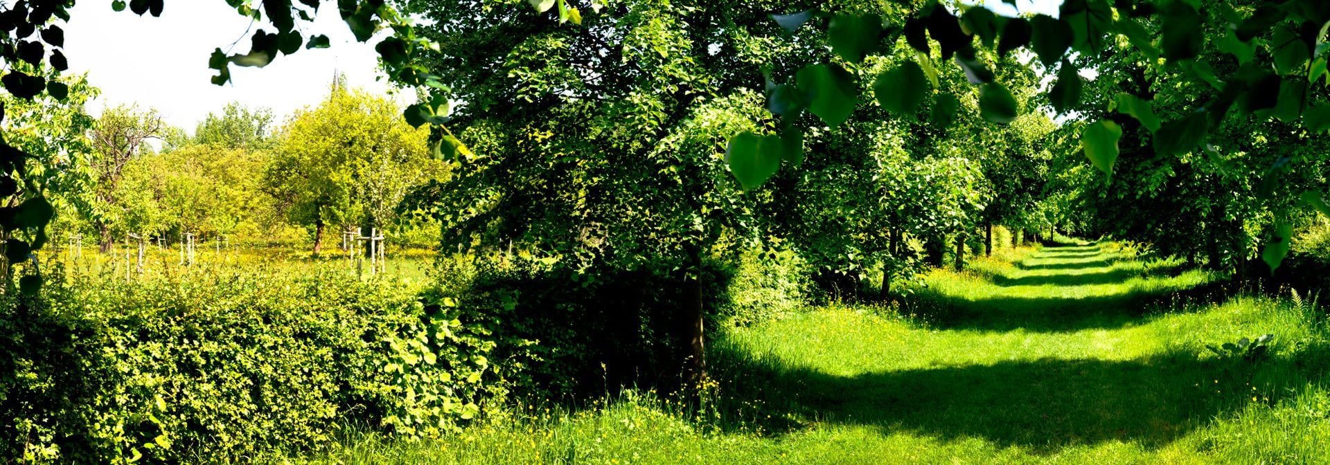 Omgeving - Gastenhof Ter Lombeek