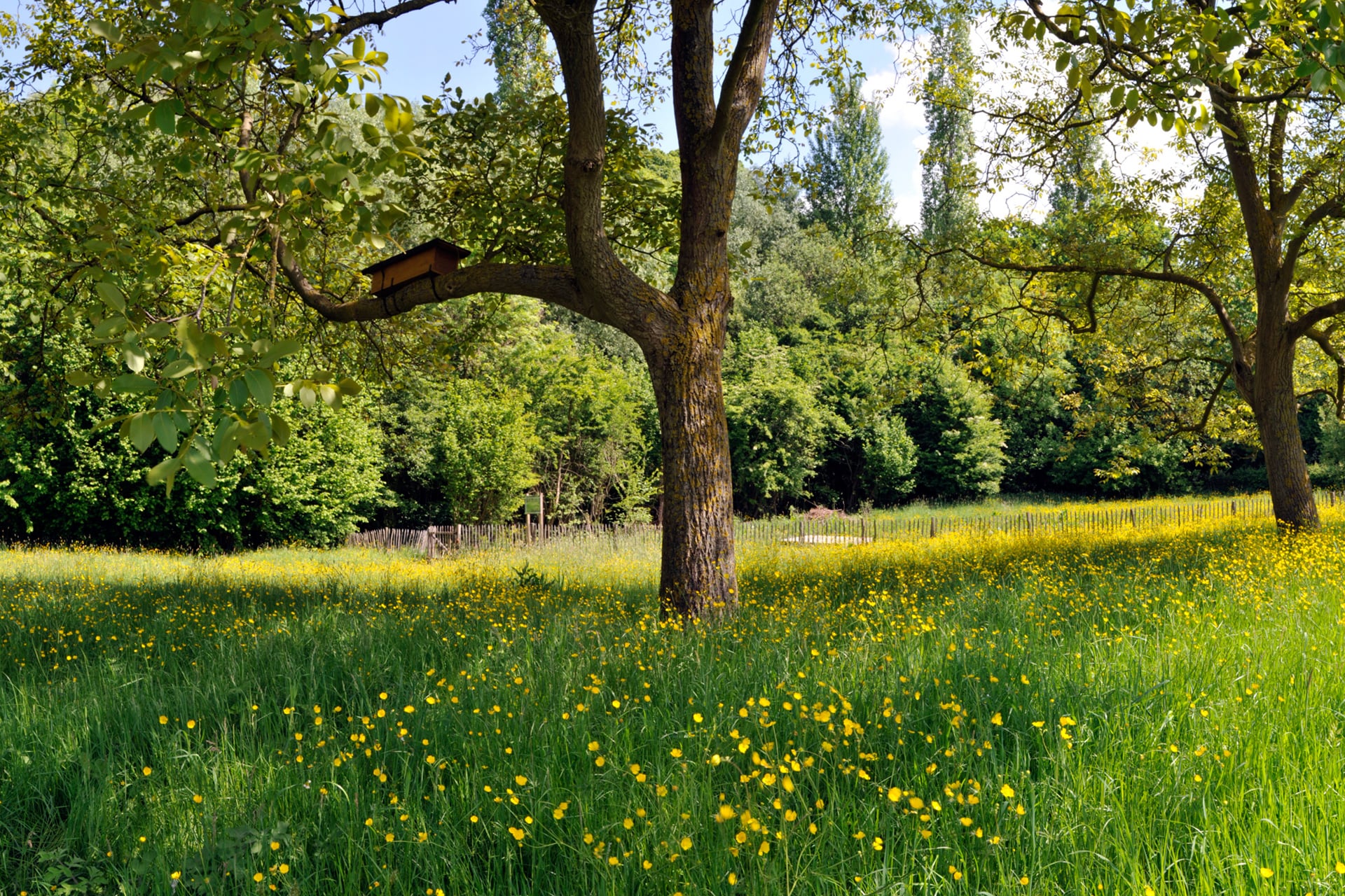 Omgeving - Gastenhof Ter Lombeek